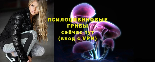apvp Алзамай