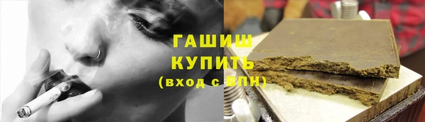 apvp Алзамай