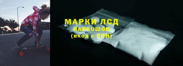apvp Алзамай