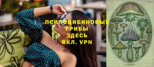 мдпв Краснослободск