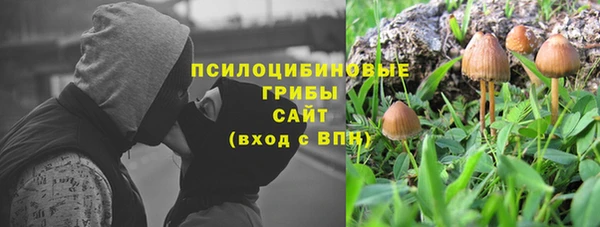 первитин Алексеевка